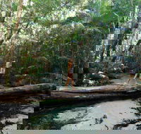 Great Beach Drive - 3 Day Itinerary - Accommodation Coffs Harbour