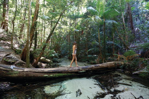 Great Beach Drive - 3 Day Itinerary - Accommodation Coffs Harbour 0