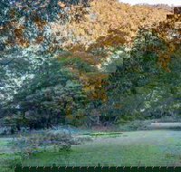 Griffins walking track - Accommodation Coffs Harbour