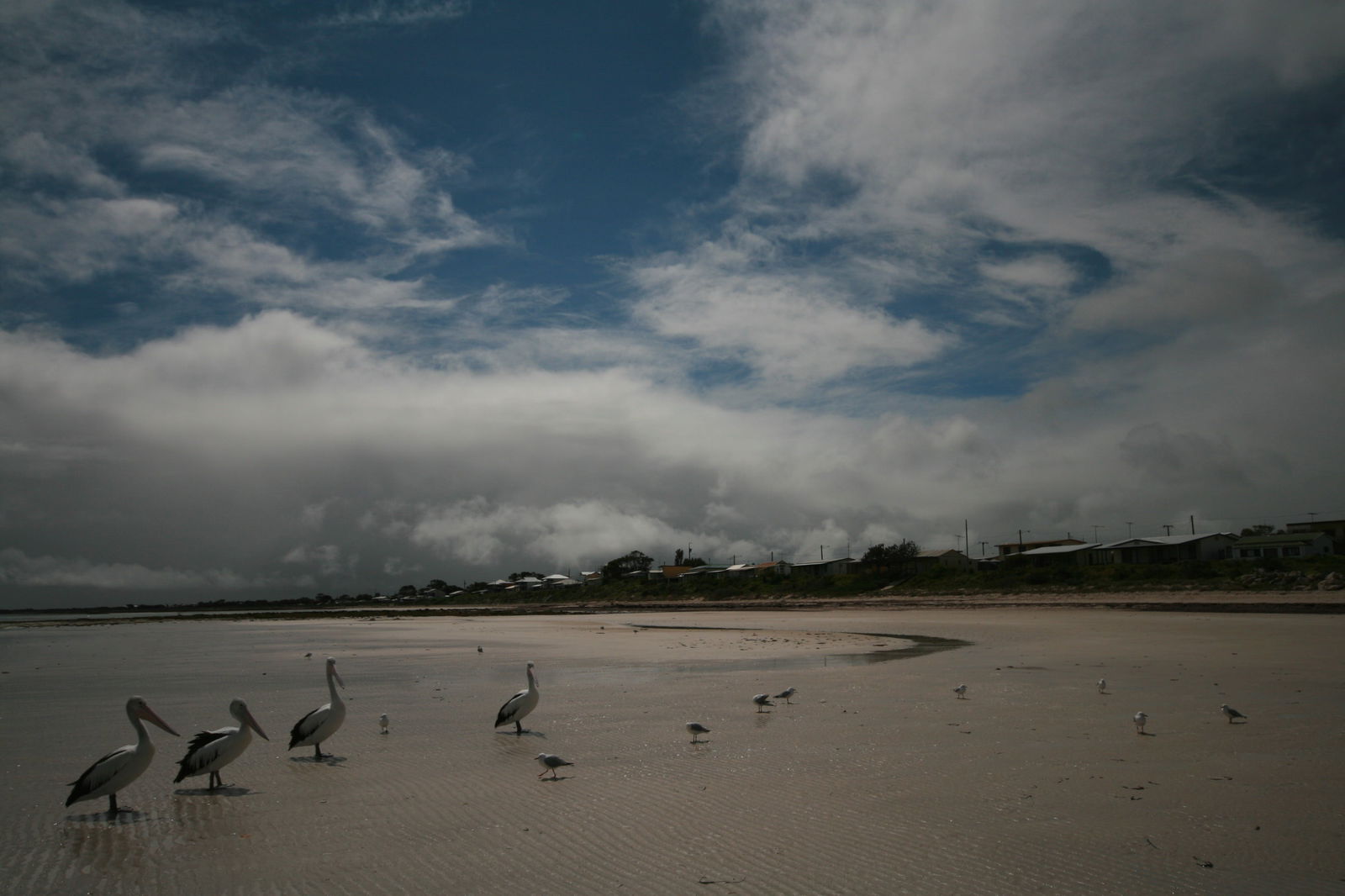 Yorke Peninsula SA Accommodation Coffs Harbour