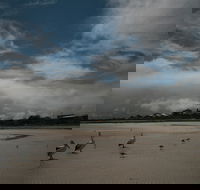 Hardwicke Bay - Accommodation Coffs Harbour