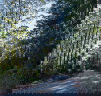 Hastings Forest Way Touring Route - Accommodation Coffs Harbour