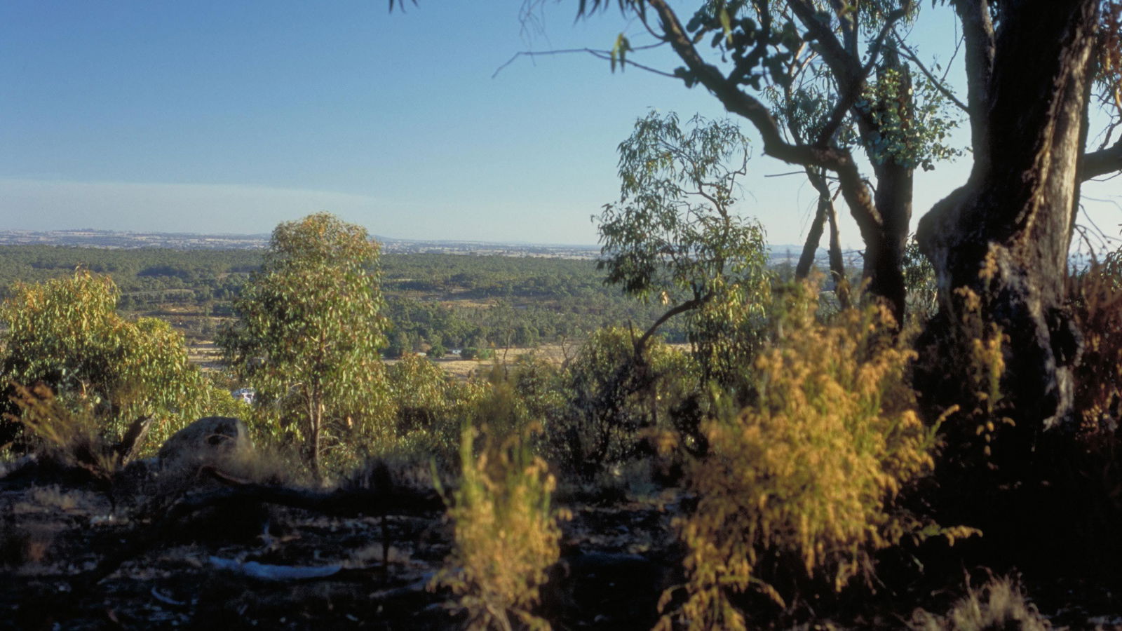 Rich Avon East VIC Accommodation Coffs Harbour