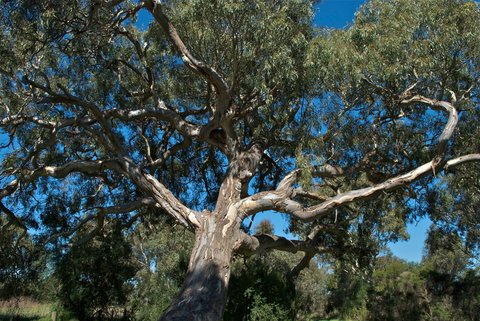 Holey Plains State Park - Accommodation Coffs Harbour 0