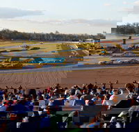 Ipswich Motorsport Precinct - Accommodation Coffs Harbour