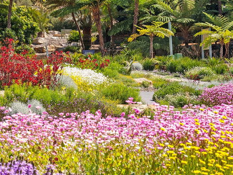 Jurassic Garden AR Experience - Accommodation Coffs Harbour 0