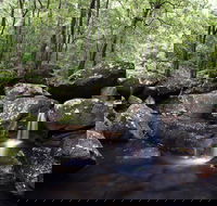 Kangaroo River - Accommodation Coffs Harbour