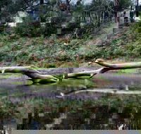 Kayaking Upper Tuross River and Bumbo Lake - Accommodation Coffs Harbour