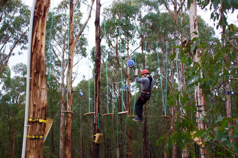 Kinglake Forest Adventures - Accommodation Coffs Harbour 0