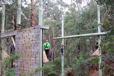 Kinglake Forest Adventures - Accommodation Coffs Harbour 1