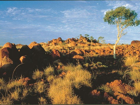 Kunjarra/The Pebbles - Accommodation Coffs Harbour 0