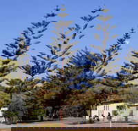 Kurrawa Park - Accommodation Coffs Harbour