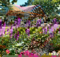Laurel Bank Park - Accommodation Coffs Harbour