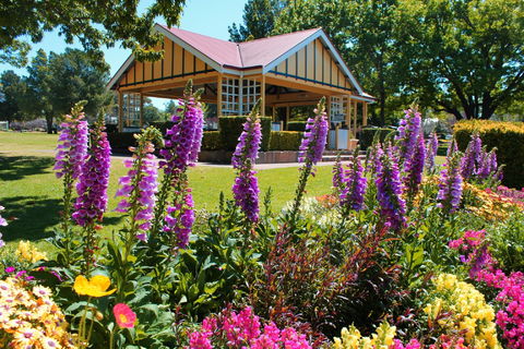 Laurel Bank Park - Accommodation Coffs Harbour 0