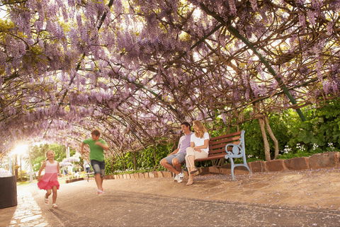 Laurel Bank Park - Accommodation Coffs Harbour 1