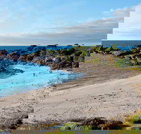 Light to Light Walk - Accommodation Coffs Harbour