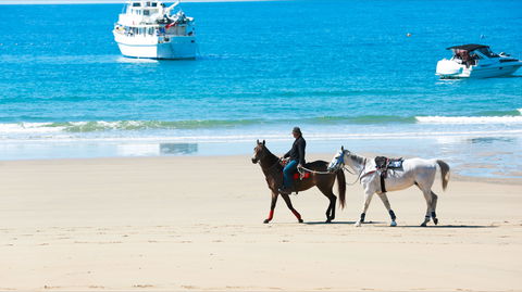 Mackay Harbour Beach - Accommodation Coffs Harbour 0