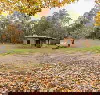 Major Clews Hut Walking Track - Accommodation Coffs Harbour