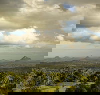 Mary Cairncross Scenic Reserve Rainforest Walk - Accommodation Coffs Harbour