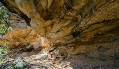 Marramarra National Park - Accommodation Coffs Harbour 0