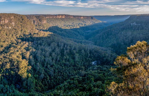 Missingham Lookout Track - Accommodation Coffs Harbour 0