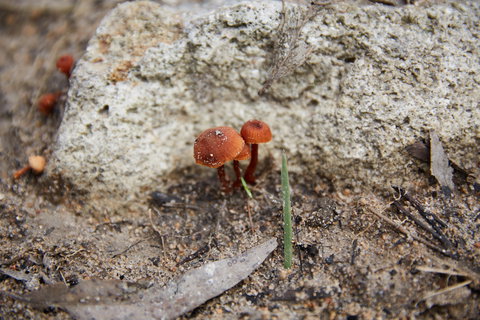 Moorooduc Quarry Walk & Stairs Circuit - Accommodation Coffs Harbour 0