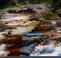 Mothar Mountain Rockpools - Accommodation Coffs Harbour