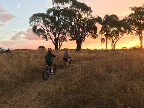 Mountain Bike Trails Tumbarumba - Accommodation Coffs Harbour 2