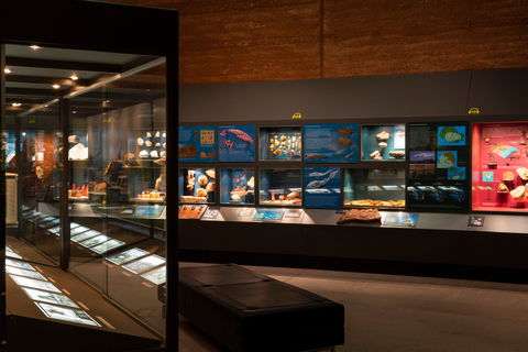 Museum Of Central Australia - Accommodation Coffs Harbour 0