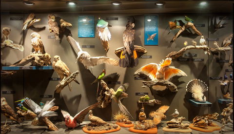 Museum Of Central Australia - Accommodation Coffs Harbour 2