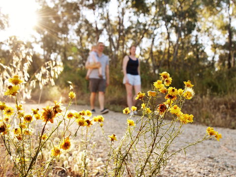 Nail Can Hill - Accommodation Coffs Harbour 0