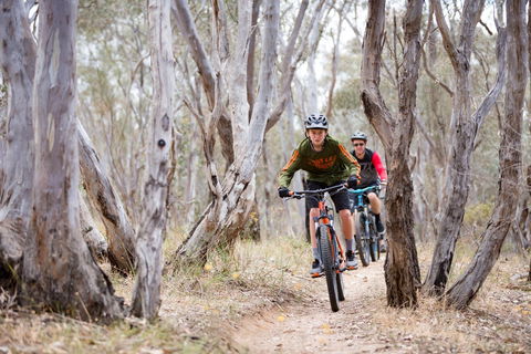 Nail Can Hill - Accommodation Coffs Harbour 1