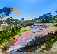 Naracoorte Mini Golf - Accommodation Coffs Harbour