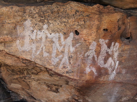 Ngamadjidj Shelter - Wartook Valley - Accommodation Coffs Harbour 0