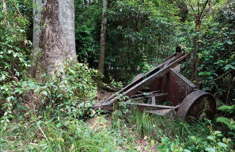 Norman Jolly Picnic Area - Accommodation Coffs Harbour 0