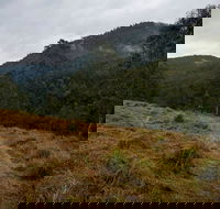 Nowendoc National Park - Accommodation Coffs Harbour