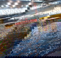 Oasis Regional Aquatic Centre - Accommodation Coffs Harbour