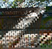 Palmerston Cemetery - Accommodation Coffs Harbour