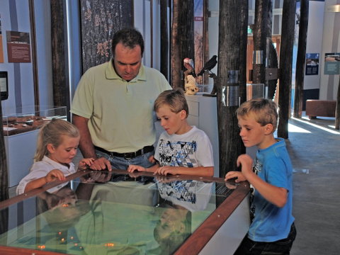 Pilliga Forest Discovery Centre - Accommodation Coffs Harbour 1