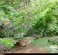 Pirianda Gardens - Accommodation Coffs Harbour