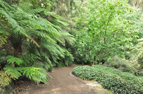 Pirianda Gardens - Accommodation Coffs Harbour 0