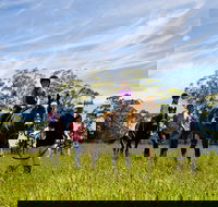 Port Macquarie Horse Riding Centre - Accommodation Coffs Harbour