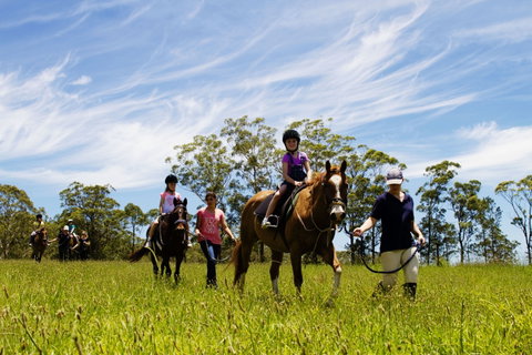 Port Macquarie Horse Riding Centre - Accommodation Coffs Harbour 0