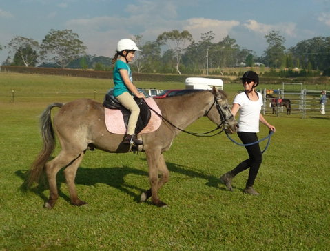 Port Macquarie Horse Riding Centre - Accommodation Coffs Harbour 1