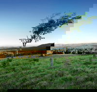 Ravensbourne National Park - Accommodation Coffs Harbour