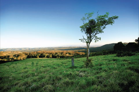 Ravensbourne National Park - Accommodation Coffs Harbour 0