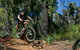 Scorpion Trail, Kalamunda Mountain Bike Trails - thumb 0