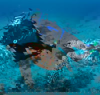 Second Reef Dive Site - Accommodation Coffs Harbour