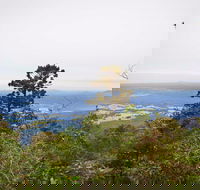 Slingsbys Trail and Syndicate Ridge Track - Accommodation Coffs Harbour