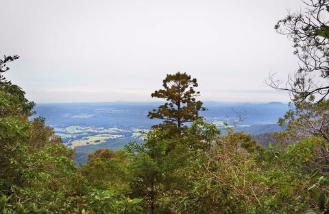Slingsbys Trail And Syndicate Ridge Track - Accommodation Coffs Harbour 0